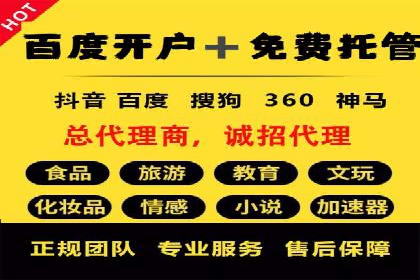 搜索引擎营销（SEM）公司某某的客户成功故事